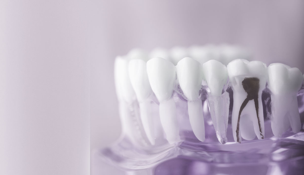 Endodontologie
